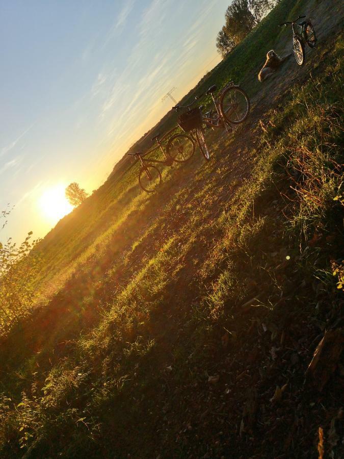 Gaestehaeuschen „Kleine Auszeit“ Greifswald Eksteriør bilde